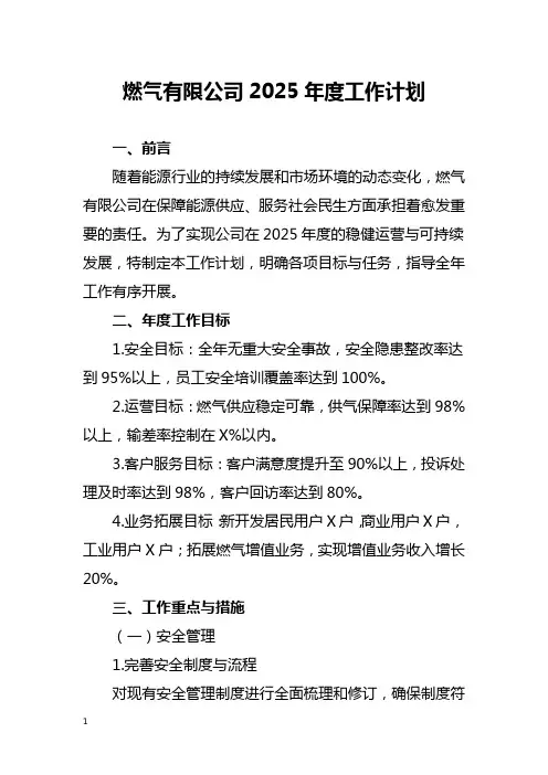 燃气有限公司2025年度工作计划