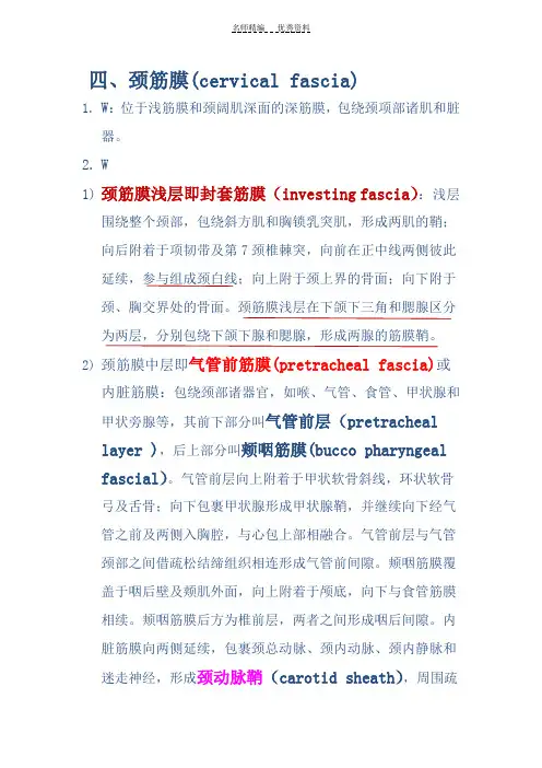 局解复习资料之颈部