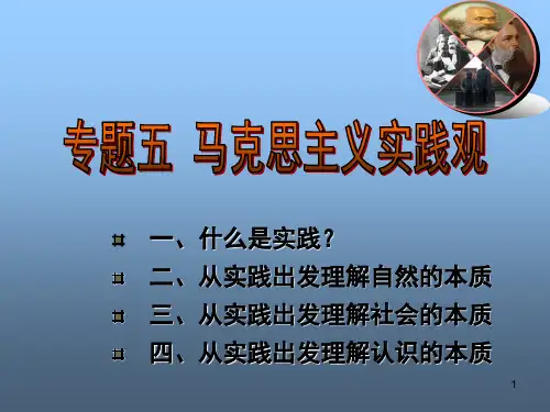 专题五马克思主义实践观ppt课件