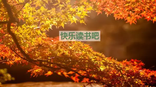 部编版(统编)小学语文四年级上册第四单元《快乐读书吧》教学课件PPT