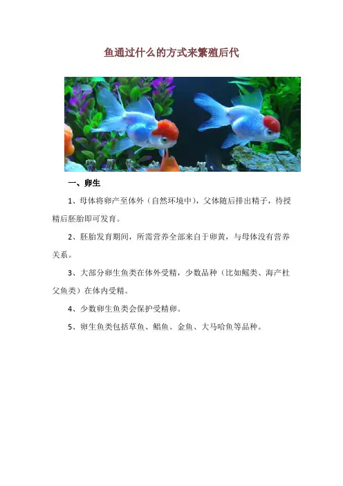 鱼通过什么的方式来繁殖后代