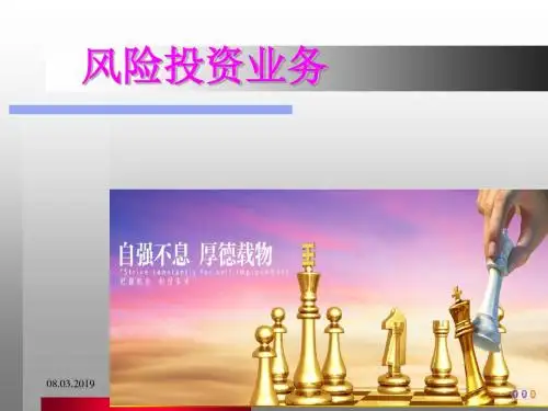 风险投资业务讲义(PPT46张)