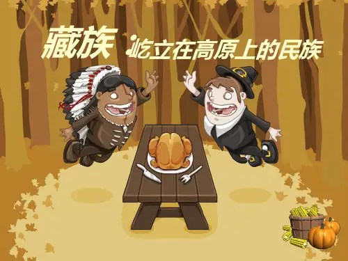 藏族简介