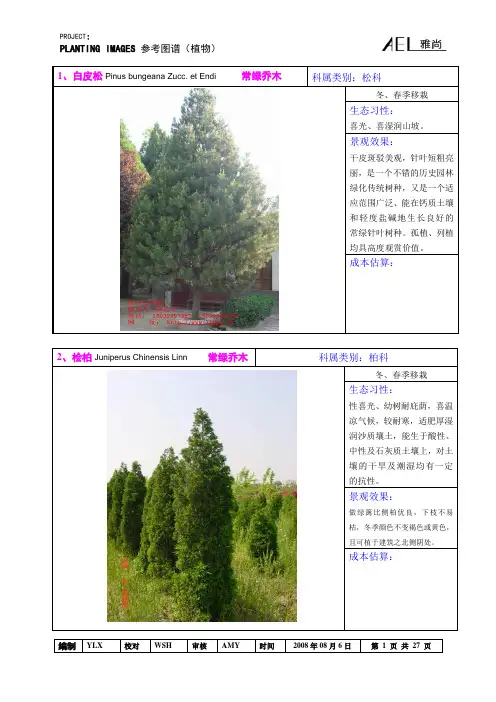 00东北植物参考图谱(乔木)
