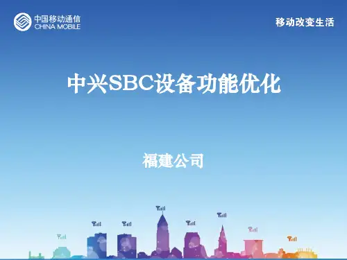 中兴SBC设备黑白灰名单功能优化