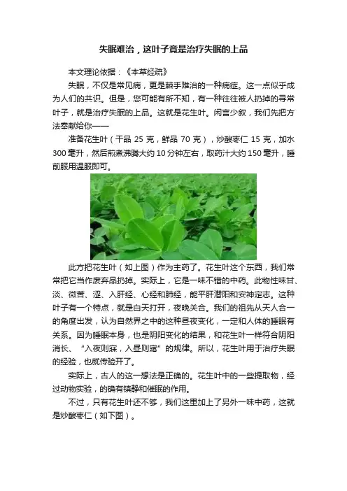 失眠难治，这叶子竟是治疗失眠的上品