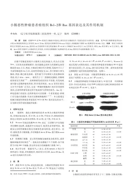 小肠恶性肿瘤患者癌组织Bcl-2和Bax基因表达及其作用机制