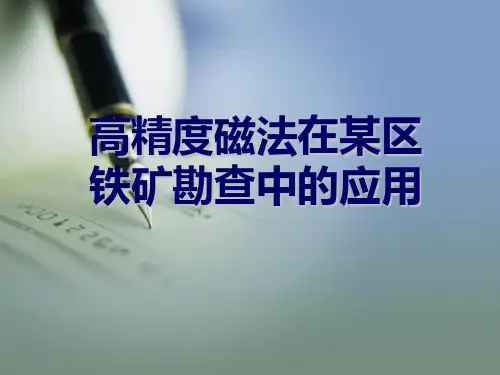 高精度磁法