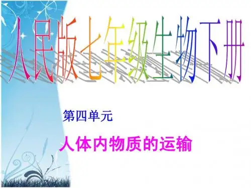 七年级生物人体内物质的运输_课件人教版_2