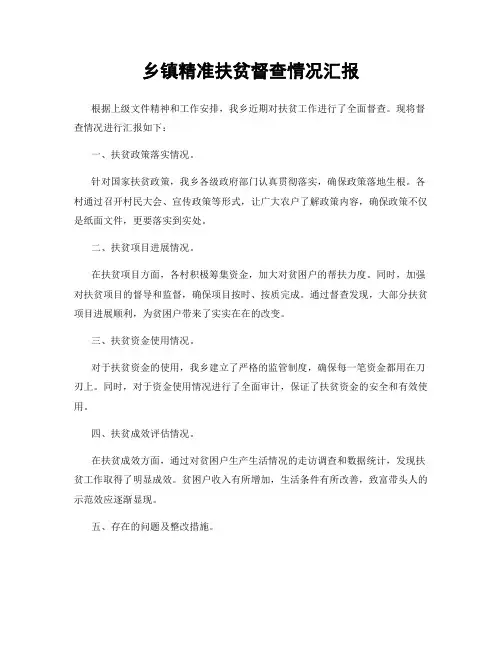 乡镇精准扶贫督查情况汇报