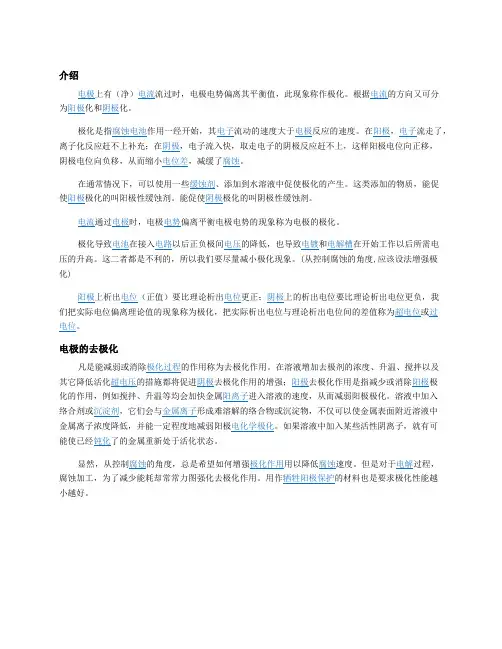 电极的极化