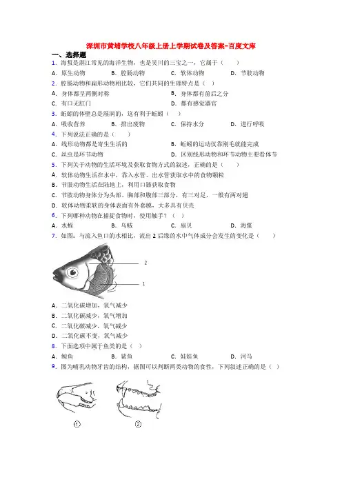 深圳市黄埔学校八年级上册上学期试卷及答案-百度文库