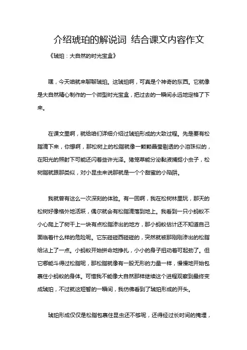 介绍琥珀的解说词 结合课文内容作文