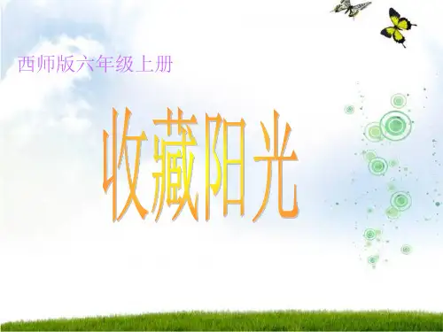 六年级上册语文课件22收藏阳光_西师大版