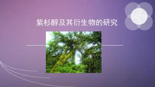 紫杉醇及其衍生物的研究PPT参考课件
