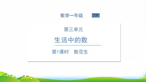 北师大版一年级下册数学课件 第1课时 数花生 (共12张PPT)