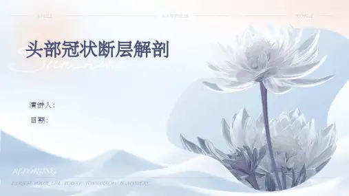 头部冠状断层解剖