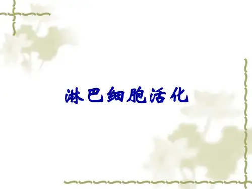 淋巴细胞活化