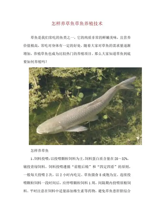 怎样养草鱼 草鱼养殖技术