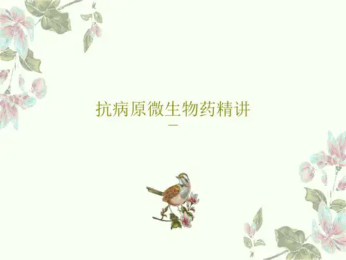 抗病原微生物药精讲PPT文档共136页