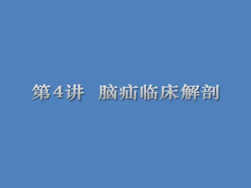 第4讲脑疝临床解剖课件