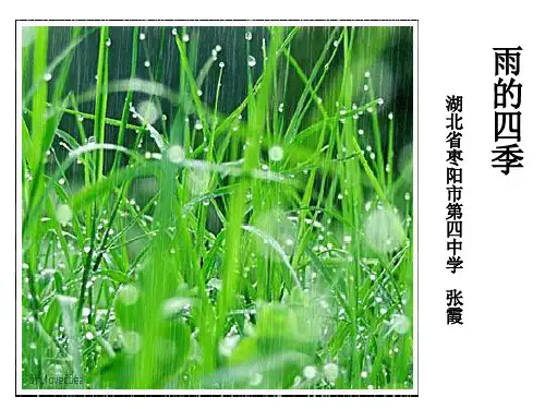 初中语文人教版(部编)七年级上册3雨的四季
