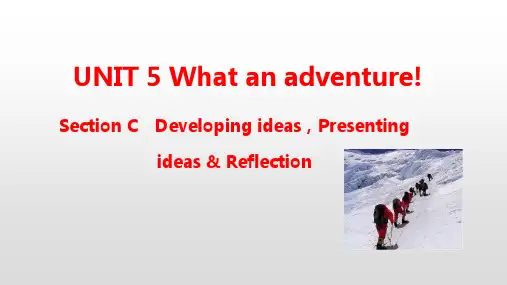 外研版(2019)高中英语必修第三册教学课件：Unit 5 What an adventurel S