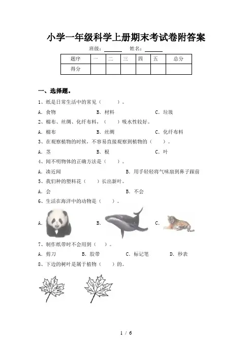 小学一年级科学上册期末考试卷附答案