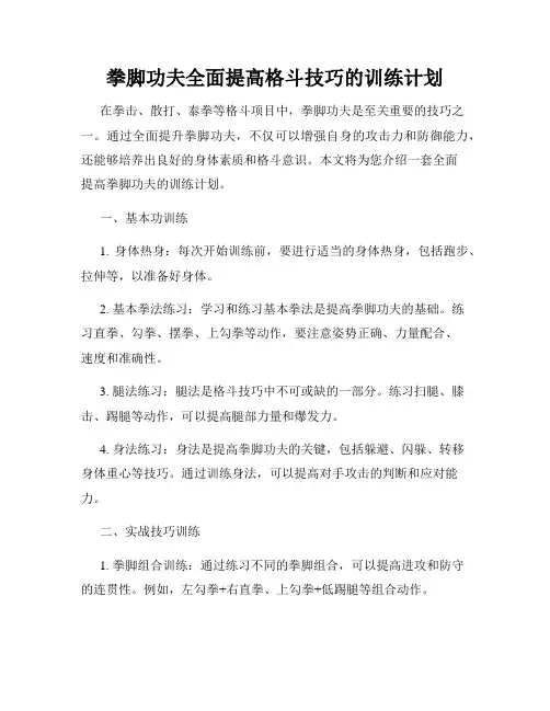 拳脚功夫全面提高格斗技巧的训练计划