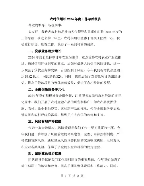 农村信用社2024年度工作总结报告