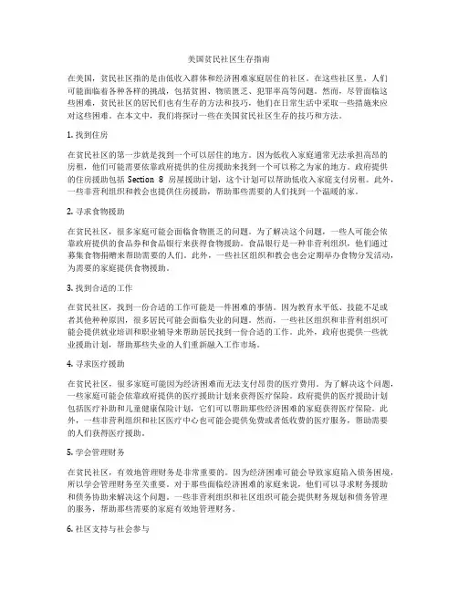 美国贫民社区生存指南