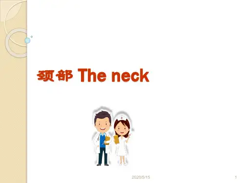 (医学课件)颈部的神经和血管