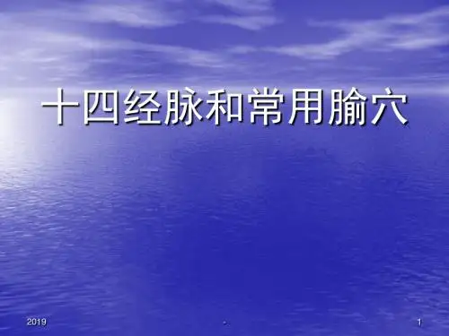 十四经脉和常用穴ppt课件