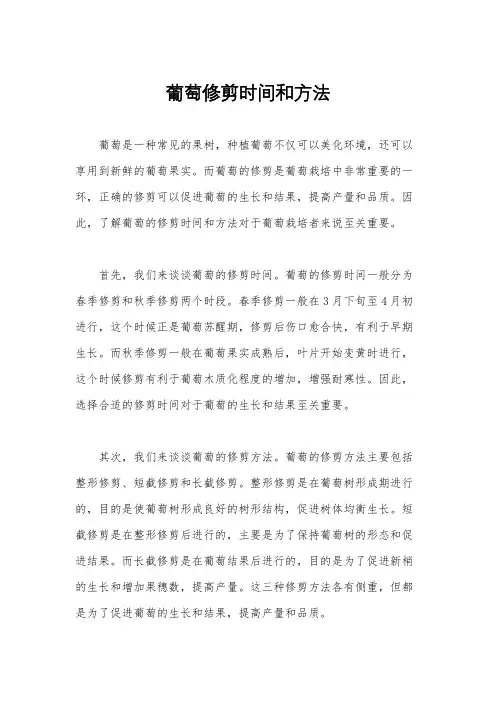 葡萄修剪时间和方法