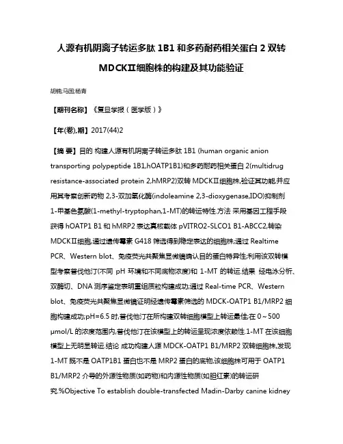 人源有机阴离子转运多肽1B1和多药耐药相关蛋白2双转MDCKⅡ细胞株的构建及其功能验证