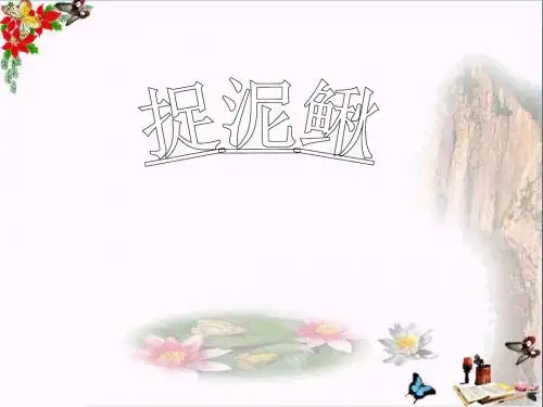 捉泥鳅 PPT精品课件2