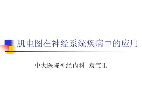肌电图基础学习资料