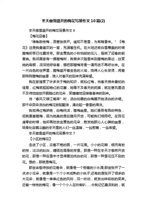 冬天傲雪盛开的梅花写景作文10篇（2）