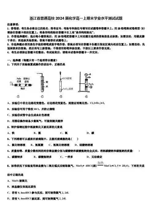 浙江省普通高校2024届化学高一上期末学业水平测试试题含解析