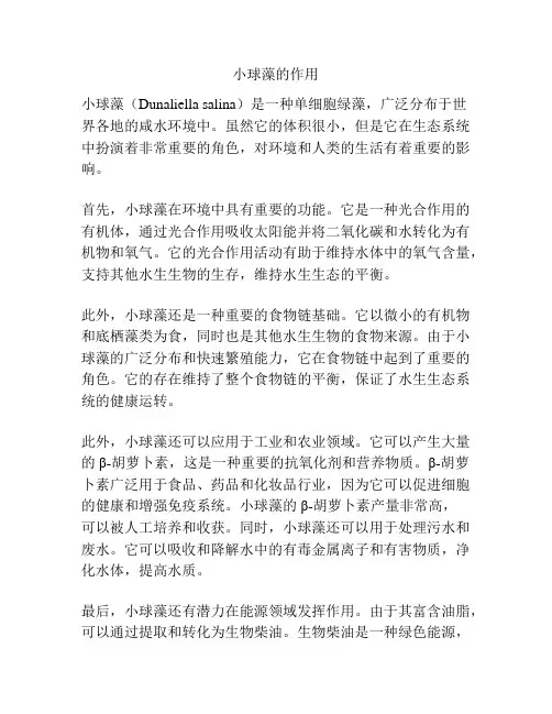 小球藻的作用
