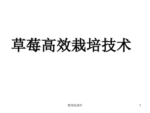 草莓高效栽培技术ppt课件