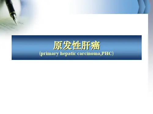 肝脏疾病超声诊断要点