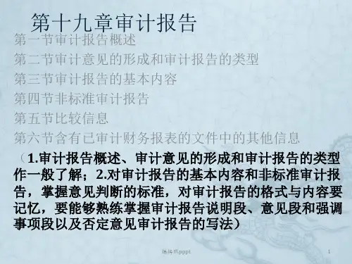 第十九章审计报告