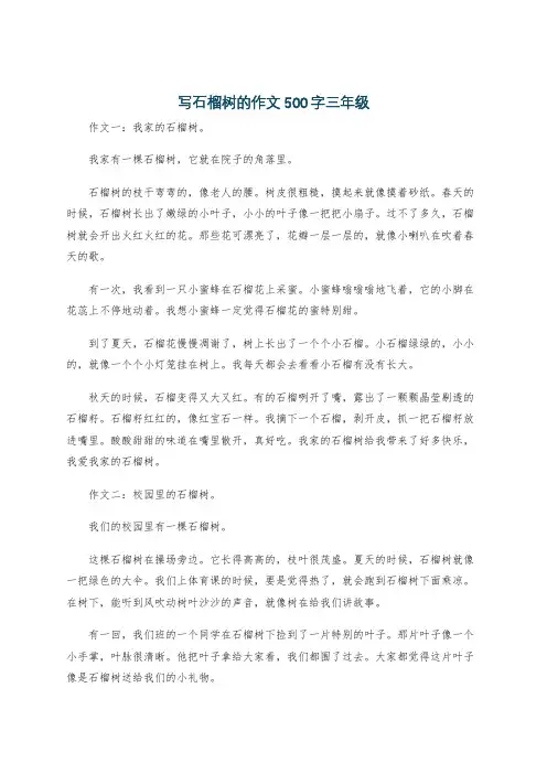 写石榴树的作文500字三年级