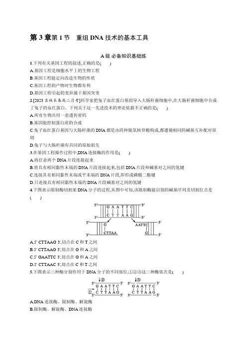 人教C版高中生物选择性必修3第3章基因工程第1节重组DNA技术的基本工具练习含答案