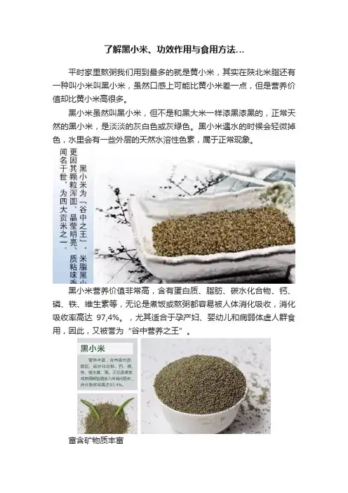 了解黑小米、功效作用与食用方法…