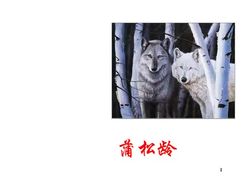 人教部编版七年级上册第18课《狼》教学课件(共65张PPT)
