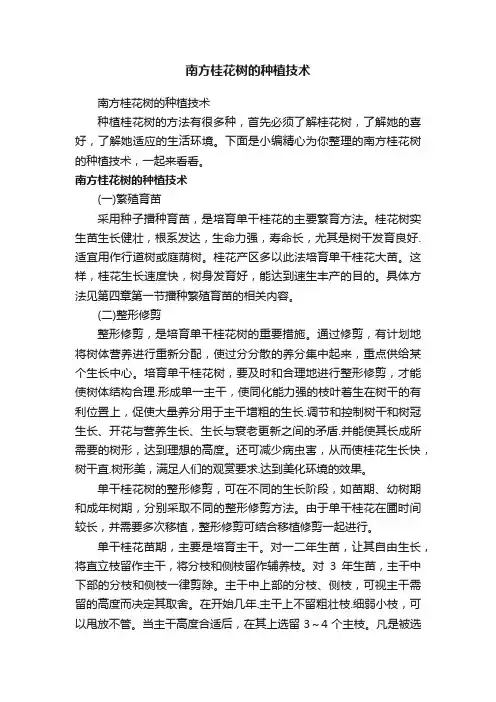 南方桂花树的种植技术