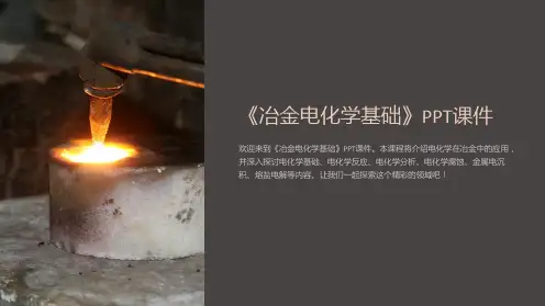 《冶金电化学基础》课件