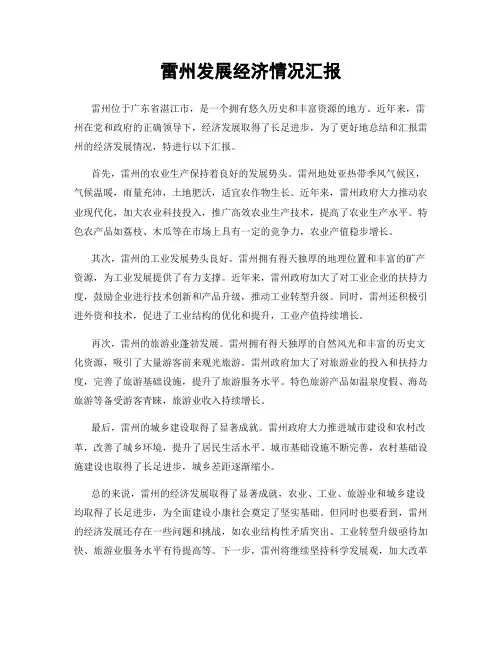 雷州发展经济情况汇报